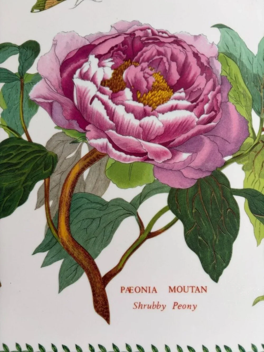Portmeirion Botanic Garden Melamine, Handled Serving Tray, England